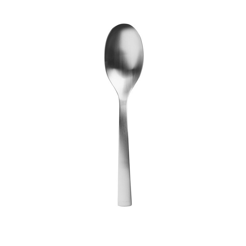 Carry On - Serving Spoon